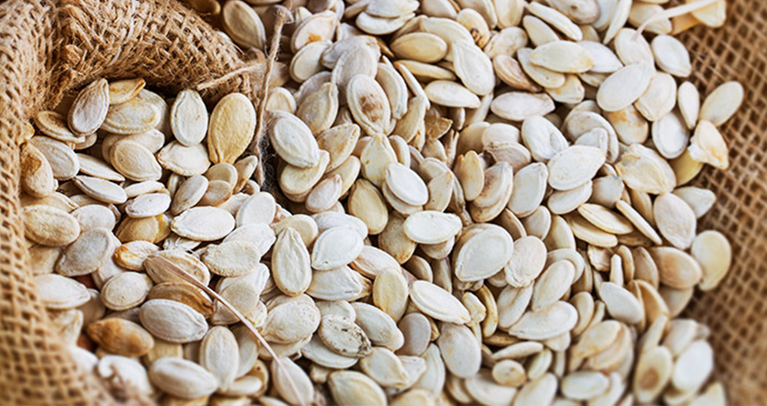 Watermelon Seeds