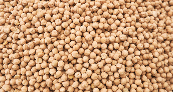 Chickpeas
