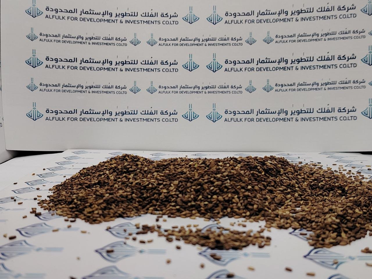 photo_5888459627098213302_y